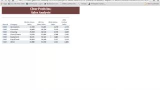 Excel Chapter 7 Importing Data to a webpage