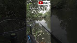 Float fishing / РИБОЛОВ НА ПЛУВКА #fishing #риболов #daiwa