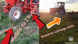 Obkaszywanie Czarnego złota🪙🌱✔Władzio na 2 kołach 🚜✔