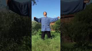 Taiji Qi-Gong (Shibashi) Movement 2: Expanding the Chest #shibashi #qigong #taijiqigong