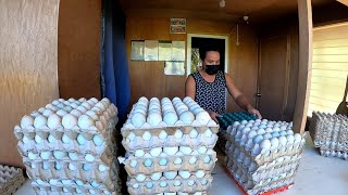 EP-062 | Tara Guys Samahan Nyo Kami MagBenta Ng Itlog | Egg Price To Day | Duck Farming