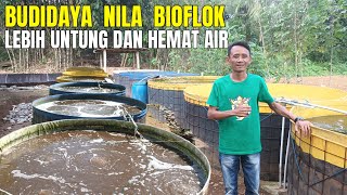 Perangkat Desa Sukses Budidaya Ikan Nila Bioflok, Lebih Menguntungkan dan Hemat Air