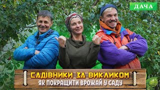 Найкращі способи підвищити врожайність | Як правильно доглядати за садом?