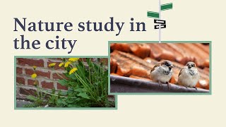 Nature study in the city