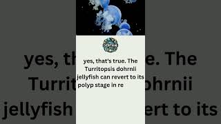 "The Immortal Jellyfish: Regeneration and Lifespan Secrets"