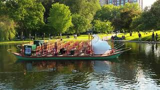 Swan Boats, Boston Commons, Boston MA