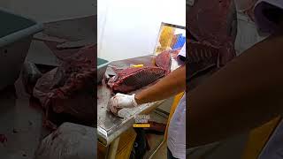 Incredible ! largest tuna fish cutting for Sashimi in Aceh