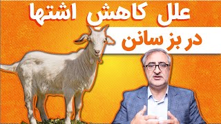 علل کاهش اشتها در بز سانن Causes of decreased appetite in Saanen goats