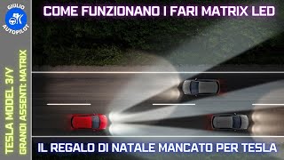 I grandi assenti nell'UPDATE Tesla 2023.44.30 di Natale: FARI MATRIX LED