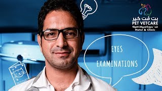 Eye examination and why it's important !