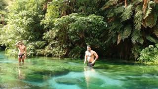 Blue spring - New Zealand