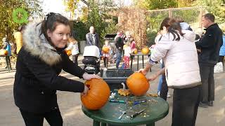 Halloween v Zoo Brno