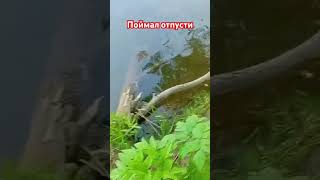 Поймал щупакабру #shorts #рыбалка