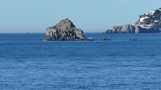 Almuñécar, peñones y Punta de la mona