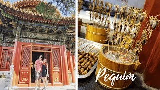 Chegamos, China!!! Espetinho de escorpião, Cidade Proibida e Parque Jingsham - #omundoélogoali