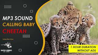 SOUND CALLING BABY CHEETAH