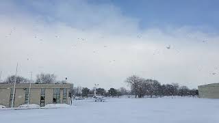 Huge Snowflakes In Slow Motion