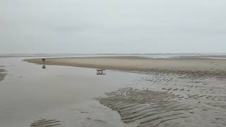 Fox (Michael J.) walking on the beach at Pawleys Island SC