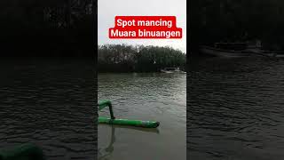 spot mancing muara binuangen #muarabinuangen #spotmancing #binuangen