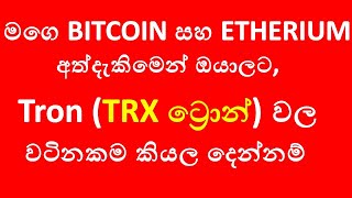 Tron ( TRX) | Tronlink | lion share |BitCoin | Etherium business ideas sinhala