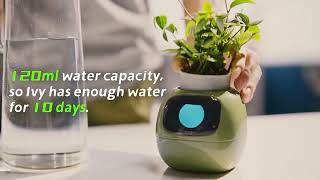 Умный смарт горшок для цветов Tuya Ivy. Tuya Ivy smart smart flower pot.