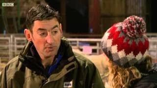 Lambing Live 2014, Series 3 Episode 2