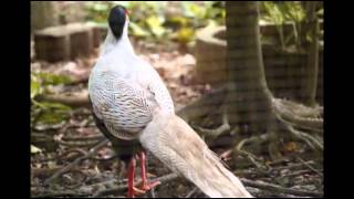 Visiting Zoo Negara