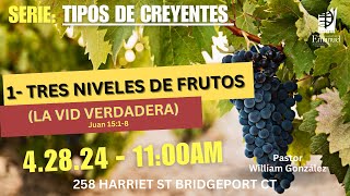 TDC: 3 Niveles de Frutos (La Vid Verdadera) | Juan 15:1-8 | Culto Dominical | Rev. William González