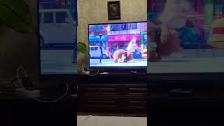 dog tv