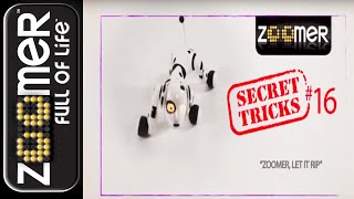 Zoomer | Zoomer Secret Trick | Let It Rip!