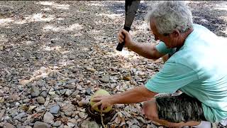 Opening coconut with machete