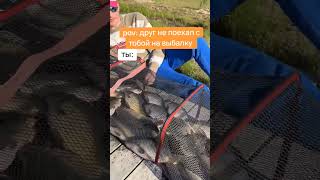 ДРУГ НЕ ПОЕХАЛ НА РЫБАЛКУ, А Я НАЛОВИЛ... #fishing #shortvideo #carpfishing #фидер #рыбалка