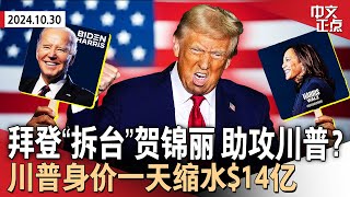 拜登“垃圾论”助攻川普？贺锦丽遭“拆台”急澄清｜DJT跌22% 川普身价一天缩水$14亿｜施瓦辛格“跨党”支持贺锦丽｜金价再创新高 明年或涨至3千美元｜纽约市乱穿马路合法化《中文正点》24.10.30