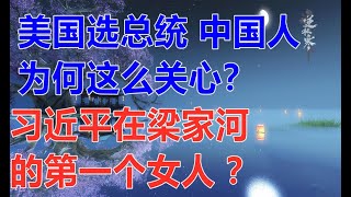 美国选总统中国人为何这么关心?美国大选,小粉红为何集体高潮自嗨?习近平插队时的情史(两韩看两岸2020.11.18）