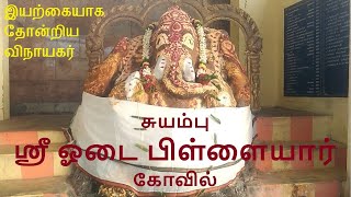 காந்திகிராமம் ஓடை பிள்ளையார் கோவில் | Gandhigram Odai Pillayar Koil