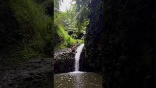 Would you jump? #cliff#cliffjumping#hawaii#travel#waterfall#nature#oahu#hiddengems