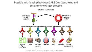 Dr Robert Silverman: Integrated Approach to Long-Haulers Syndrome and Immune Disfunction