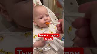 Вашим детям понравилась тыква? #многодетнаясемья #дети #прикорм