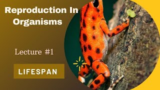 Reproduction In Organisms|Lifespan|NCERT|NEET|PGT|TGT|Biology Class-12