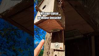 How many spiders can you count in this amazing birdhouse gadget Geocache? 💀