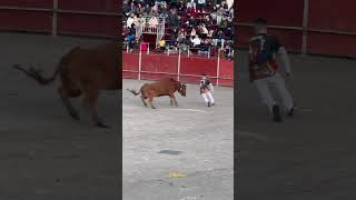 “Aron el balilla” Sacando sus pasos prohibidos. Vall d’Uixo 2024