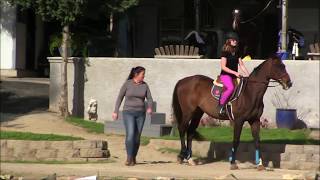 Horse Riding 3 31 18