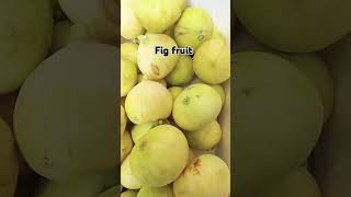 Fig fruit #shortfeed #food #shortsyoutube #fruit #viralvideo #asmr #shortsfeed #shorts #satisfying