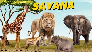 Na Savana Africana tem muitos ANIMAIS, cada um com o seu jeito ESPECIAL de ser