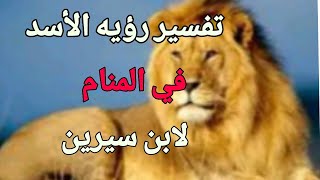 تفسير رؤيه الأسد في المنام/لابن سيرين ومعرفة خيرها وشرها