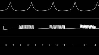 Sphere Brain - "Title Theme" (AY8930 Cover)[Oscilloscope View]