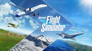 Microsoft Flight Simulator #64