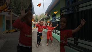 Tangkap Kupu-kupu #shorts #shortsviral #kupukupu #butterfly