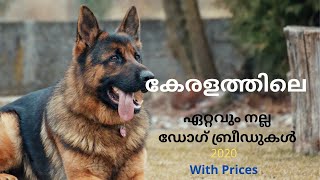 Top 10 Best Indian Dog Breeds 2021 | Kerala | MALAYALAM