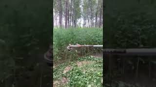 Интересная идея для покоса травы / An interesting idea for mowing grass